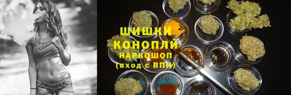 тгк Иннополис