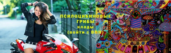тгк Иннополис