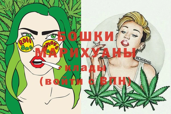 2c-b Инта