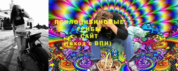 2c-b Инта